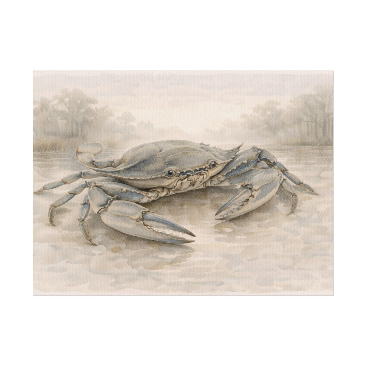 Blue Crab Illustration Rolled Poster