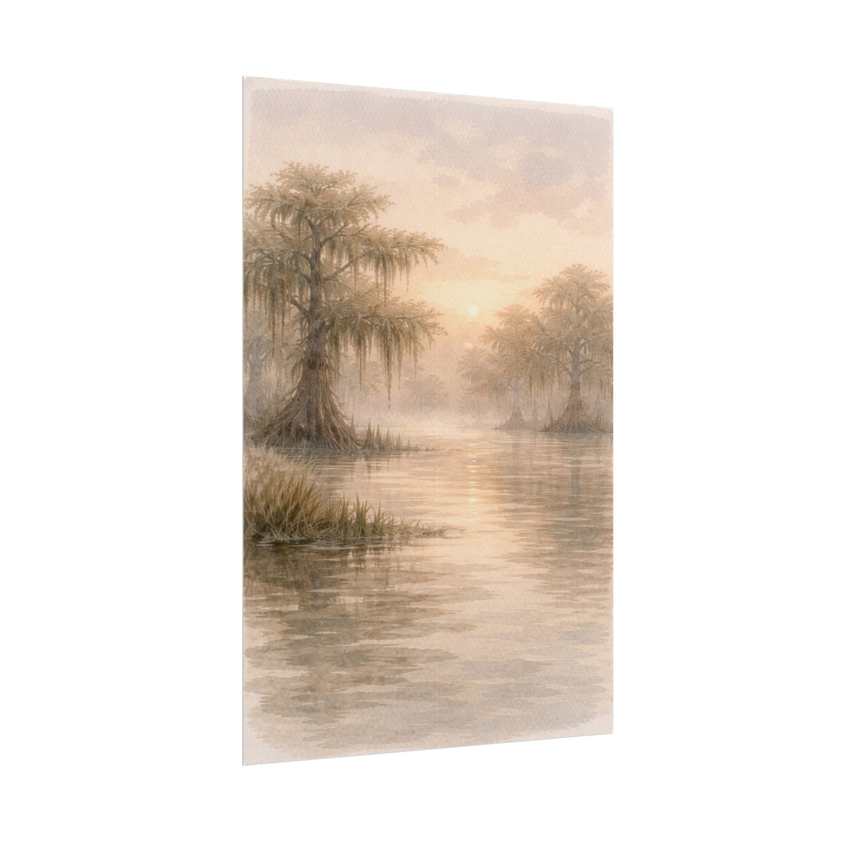 Misty Cypress Swamp Rolled Poster