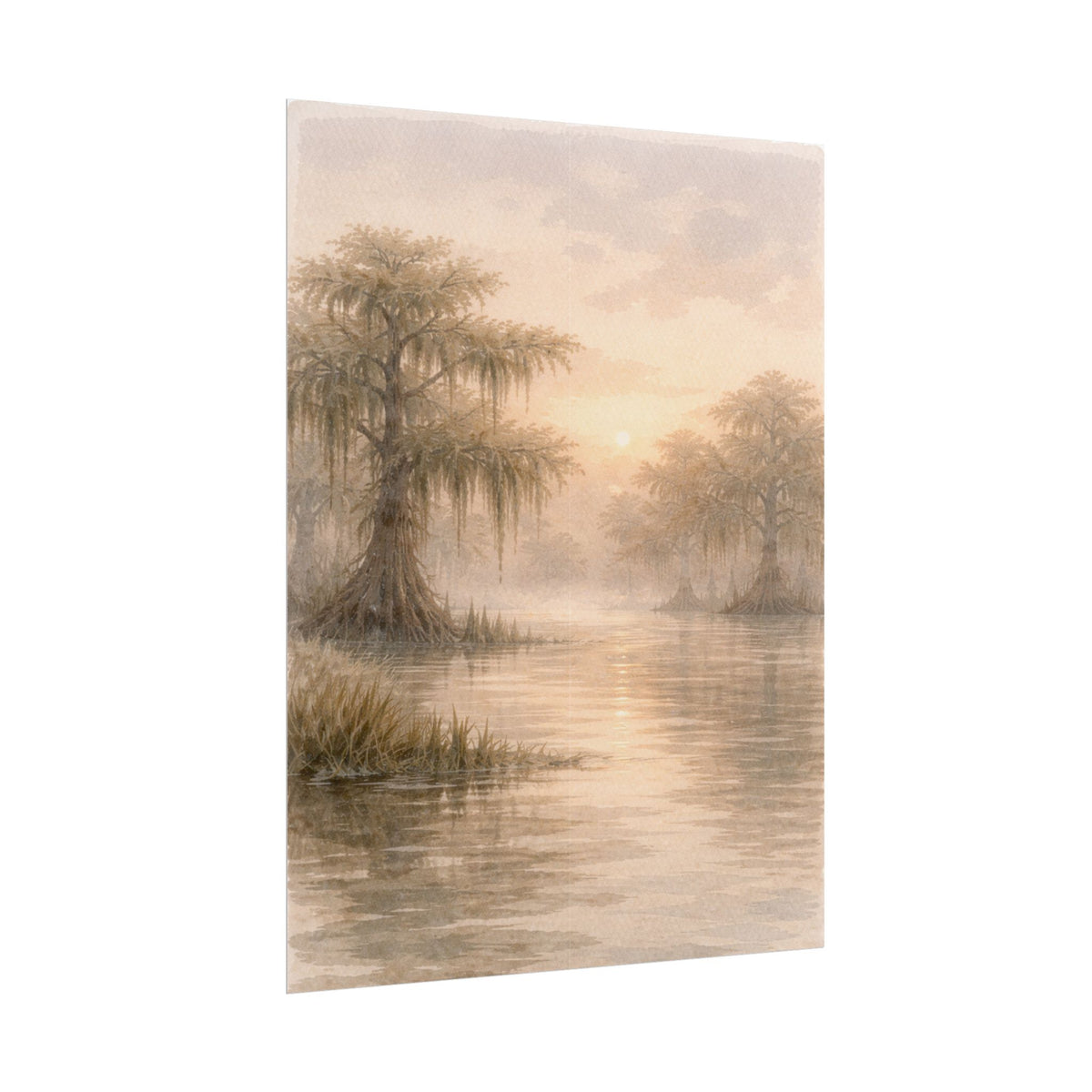 Misty Cypress Swamp Rolled Poster