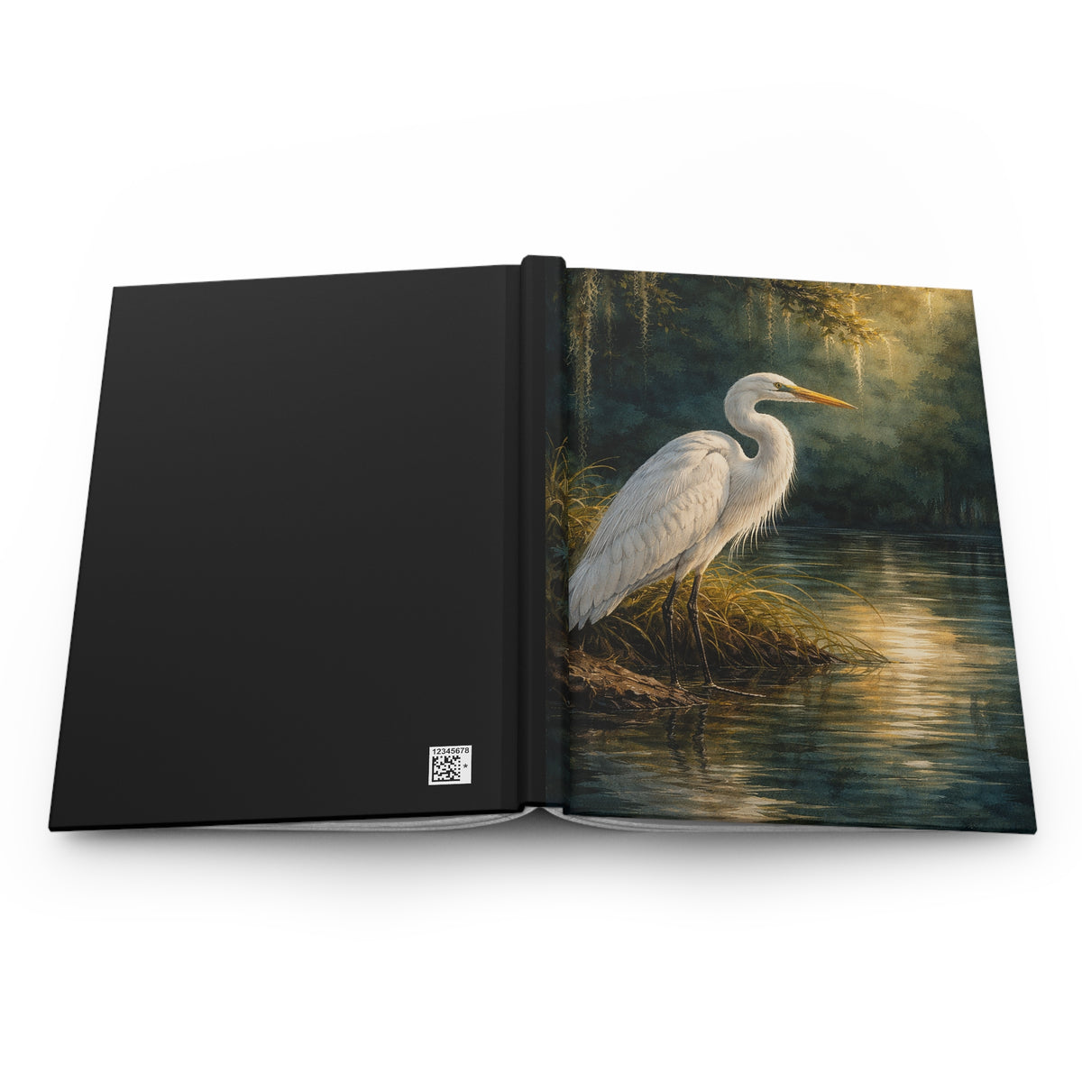 Bayou Reflection Journal