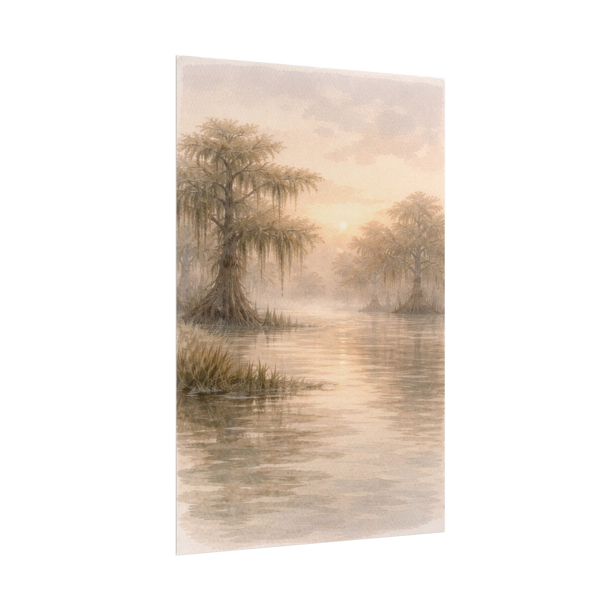 Misty Cypress Swamp Rolled Poster