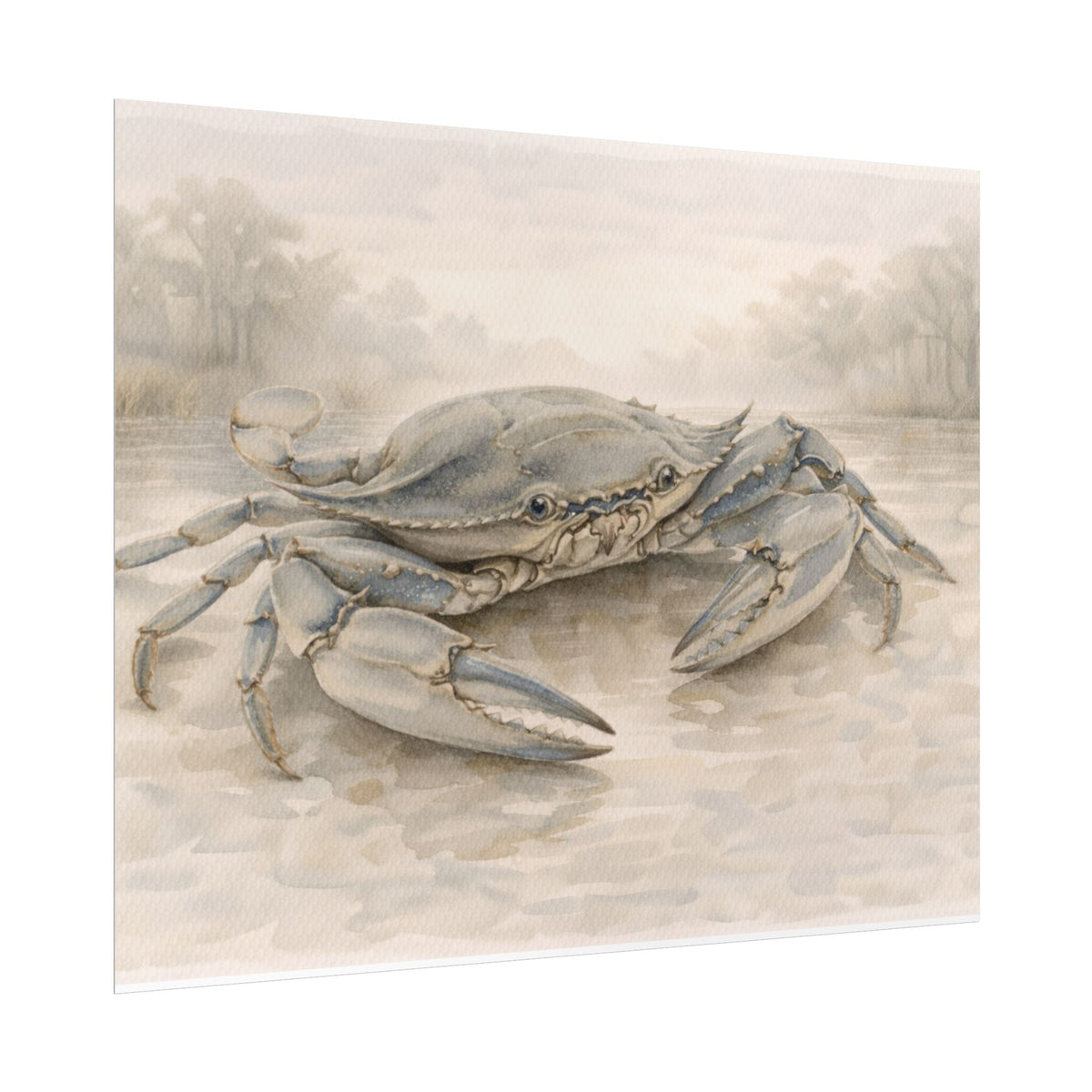 Blue Crab Illustration Rolled Poster