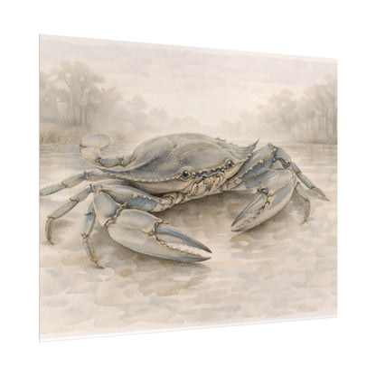 Blue Crab Illustration Rolled Poster