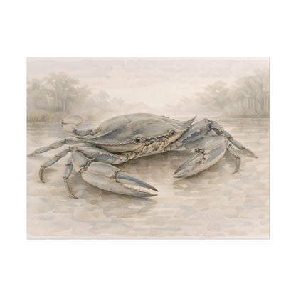 Blue Crab Illustration Rolled Poster