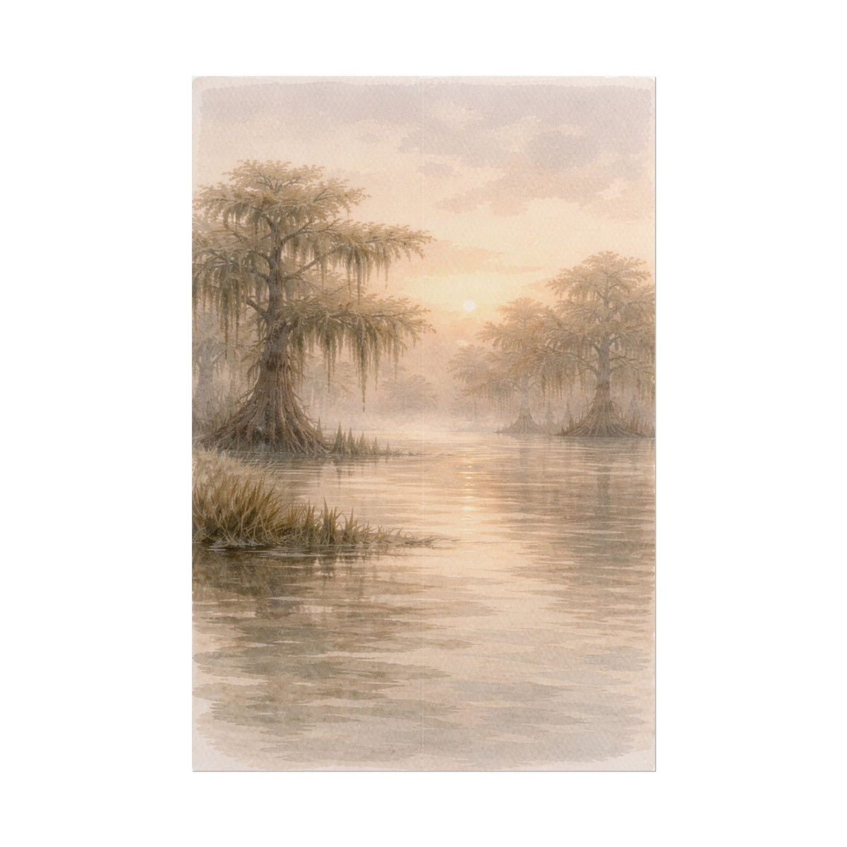 Misty Cypress Swamp Rolled Poster