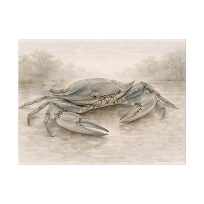 Blue Crab Illustration Rolled Poster