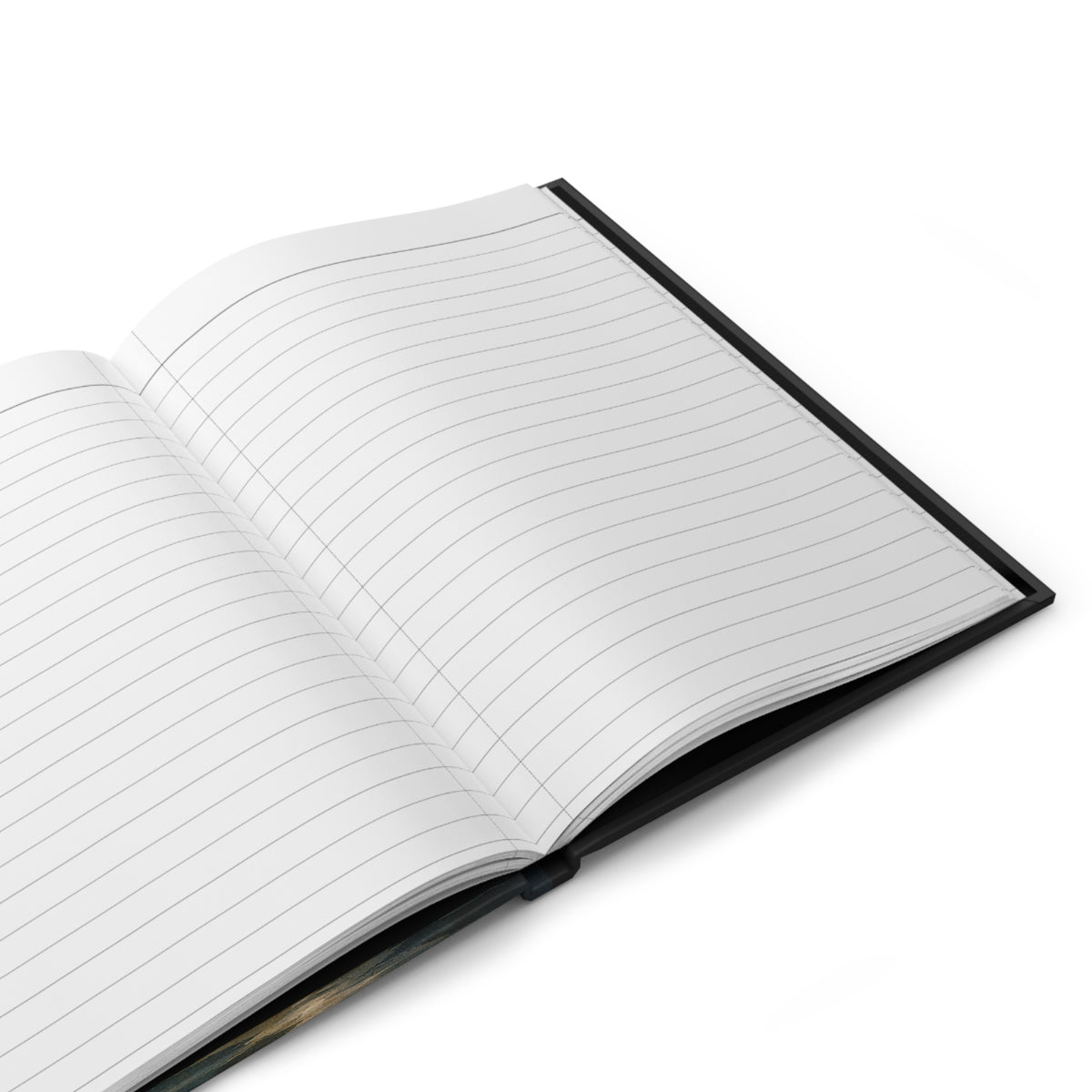 Bayou Reflection Journal