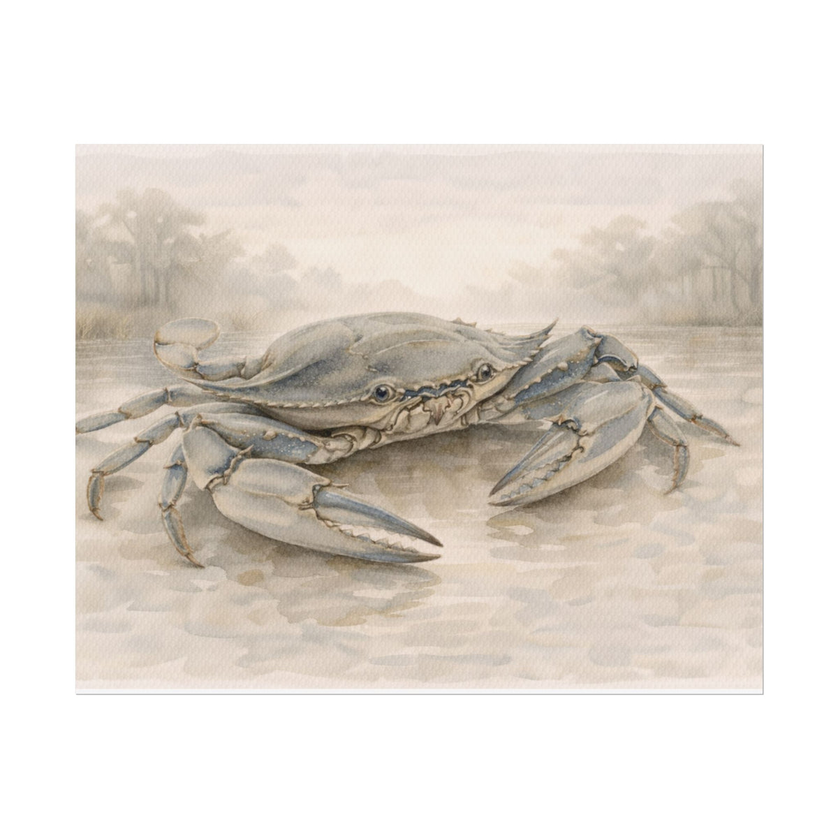 Blue Crab Illustration Rolled Poster