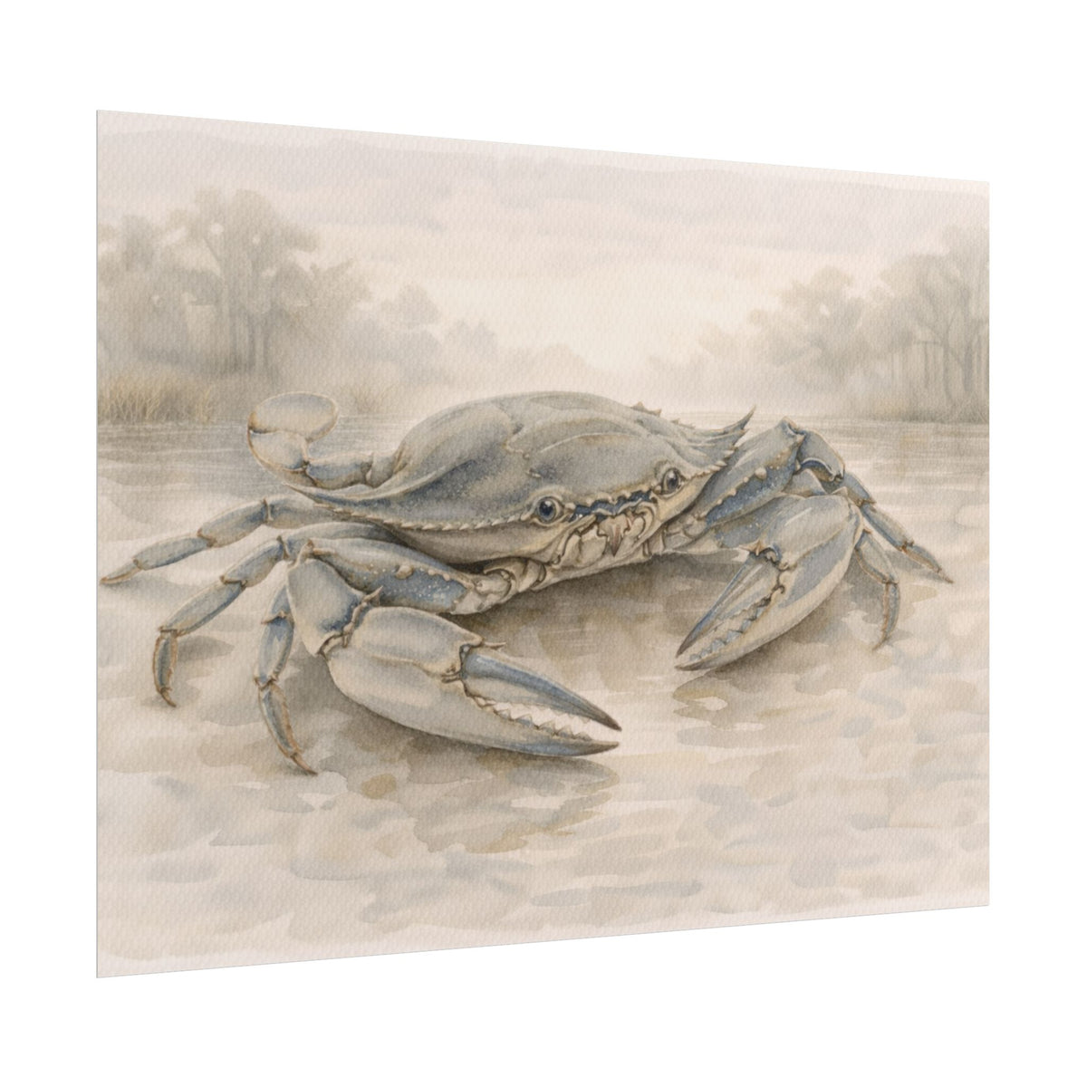 Blue Crab Illustration Rolled Poster