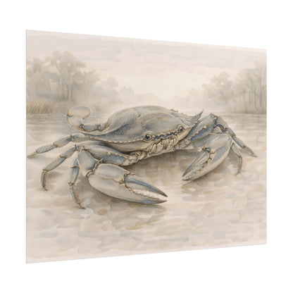 Blue Crab Illustration Rolled Poster