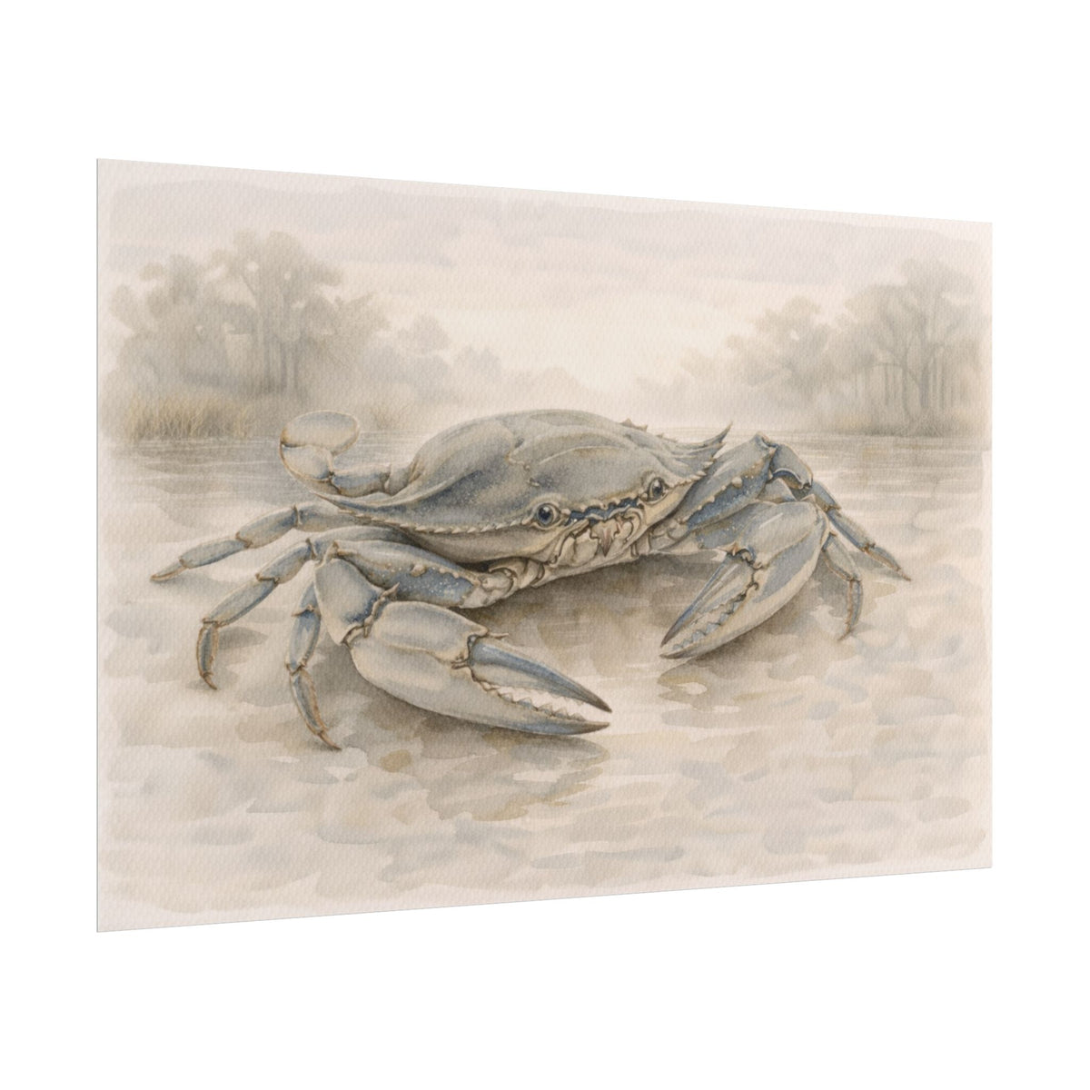 Blue Crab Illustration Rolled Poster