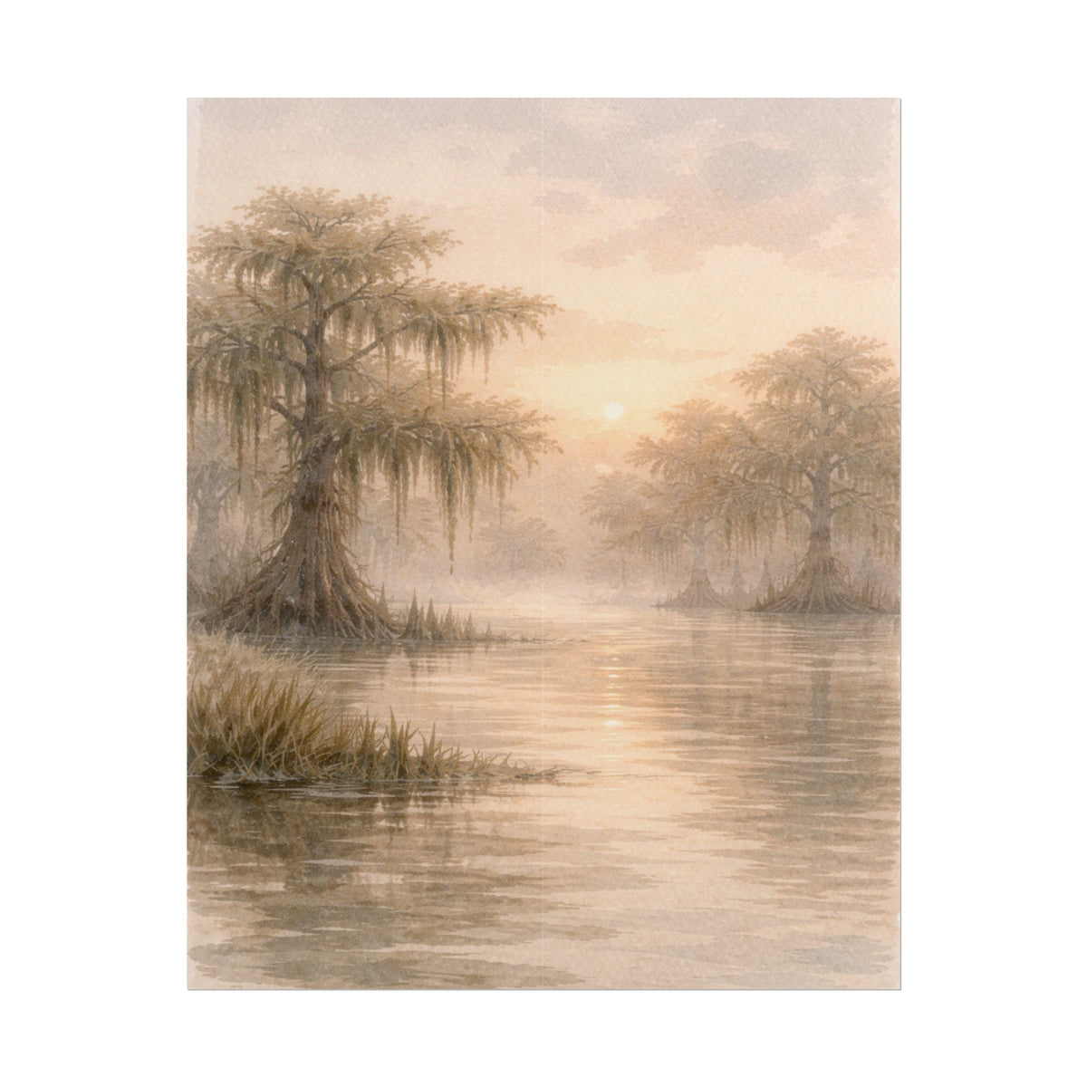 Misty Cypress Swamp Rolled Poster