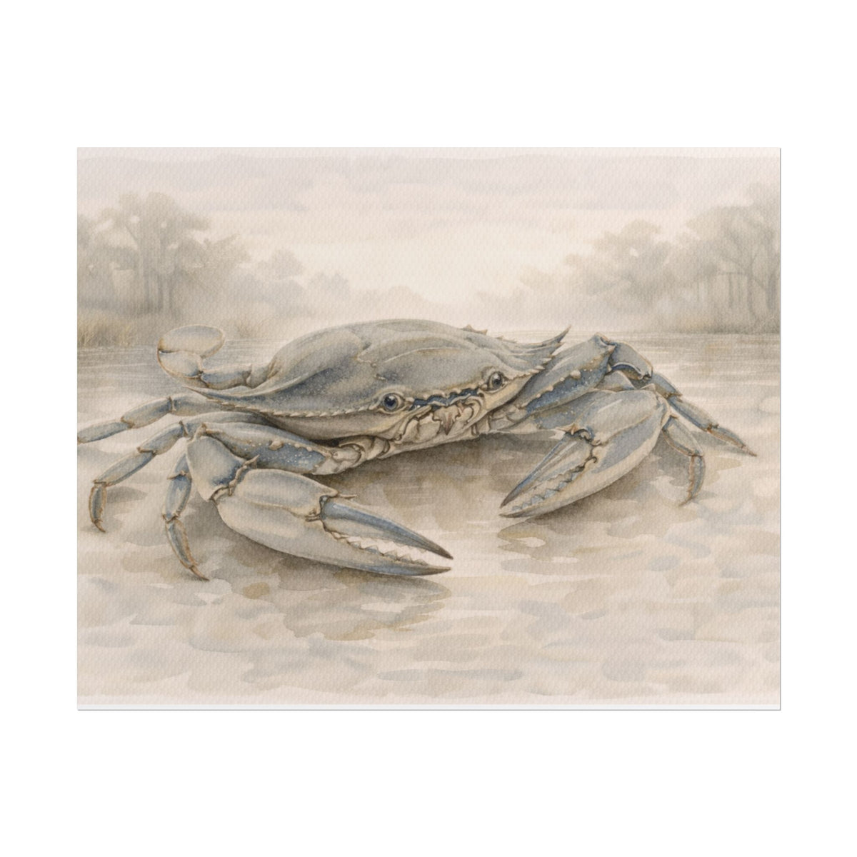 Blue Crab Illustration Rolled Poster