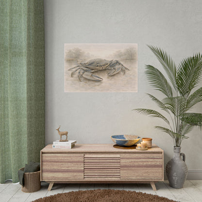 Blue Crab Illustration Rolled Poster