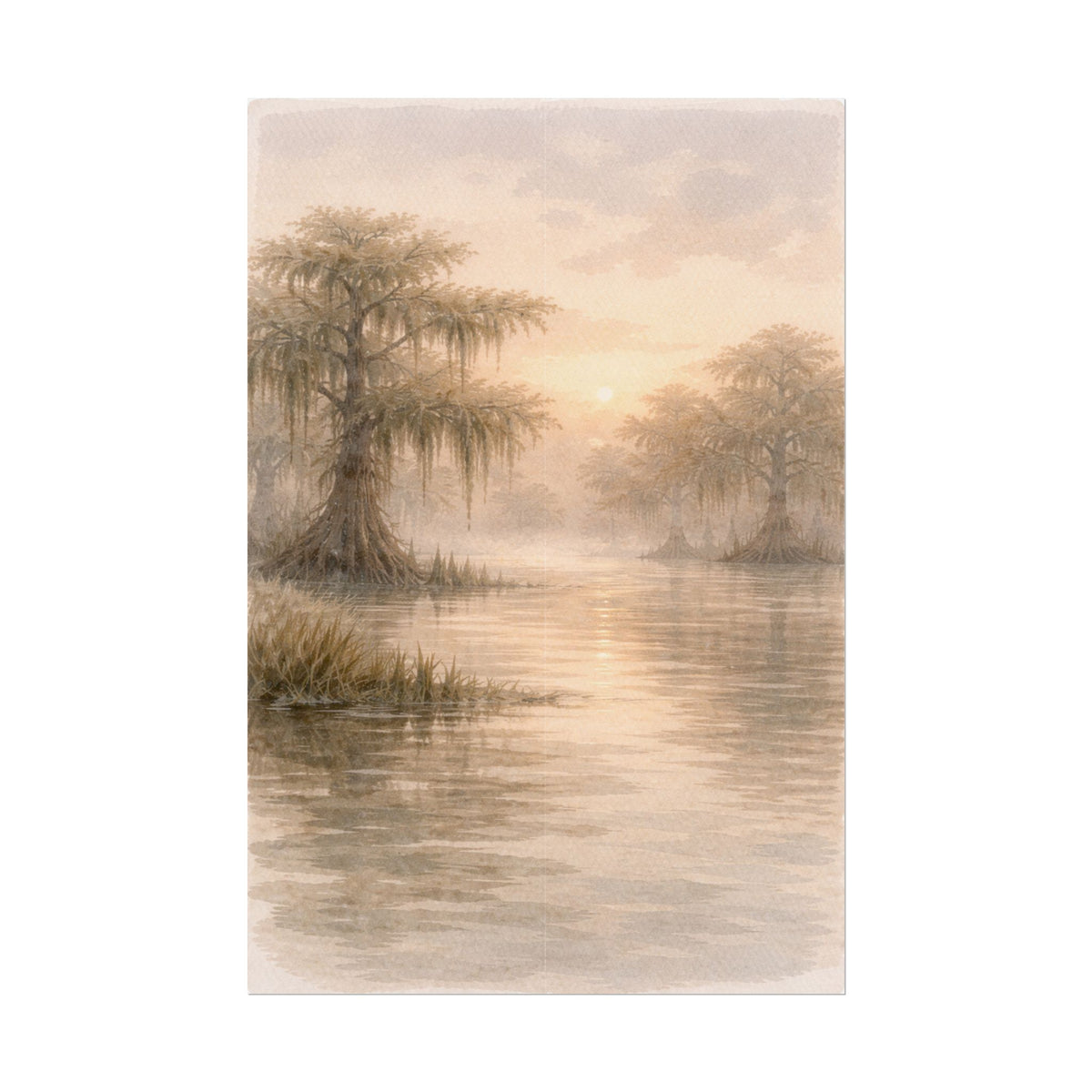 Misty Cypress Swamp Rolled Poster