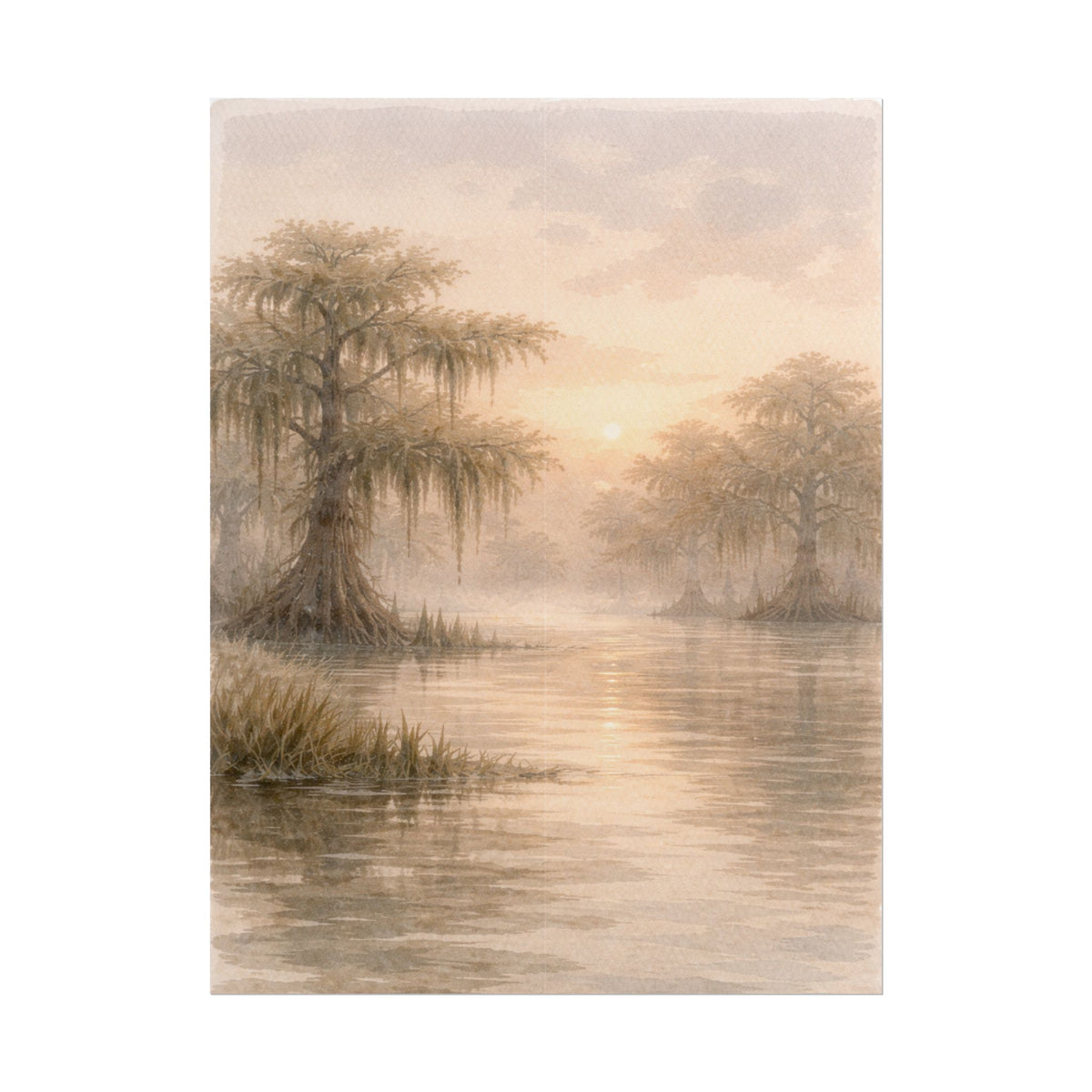 Misty Cypress Swamp Rolled Poster