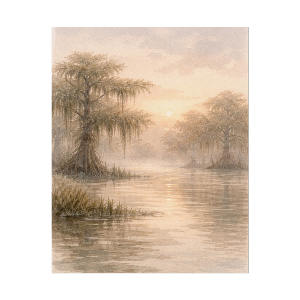 Misty Cypress Swamp Rolled Poster