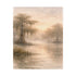 Misty Cypress Swamp Rolled Poster