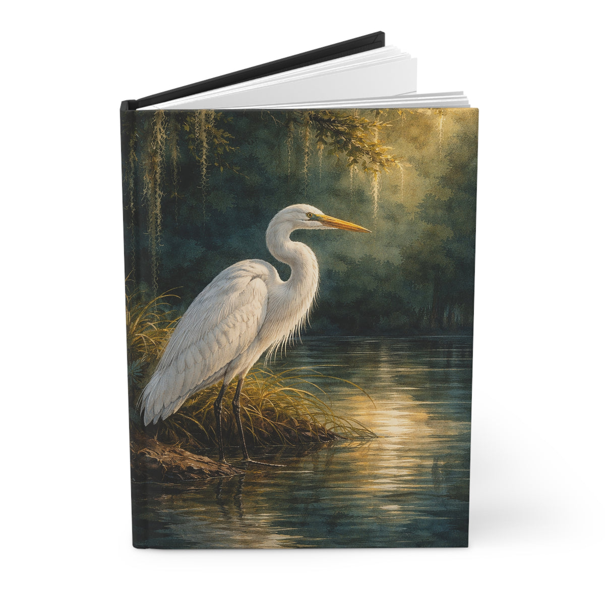 Bayou Reflection Journal