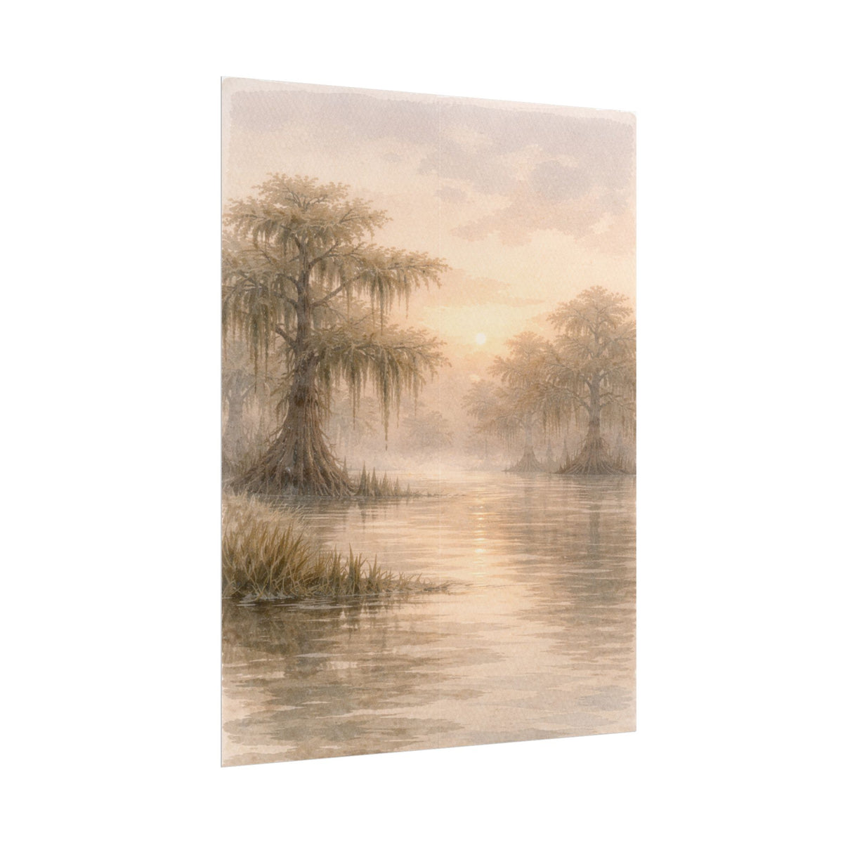 Misty Cypress Swamp Rolled Poster
