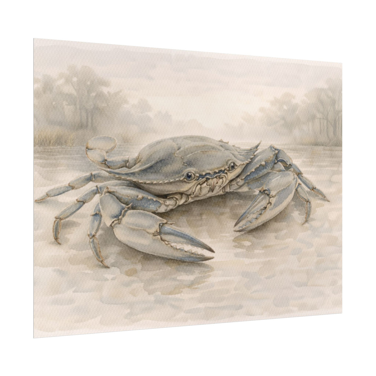 Blue Crab Illustration Rolled Poster