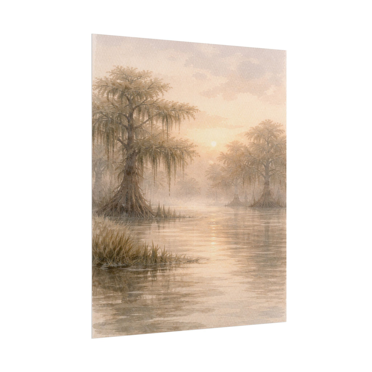 Misty Cypress Swamp Rolled Poster